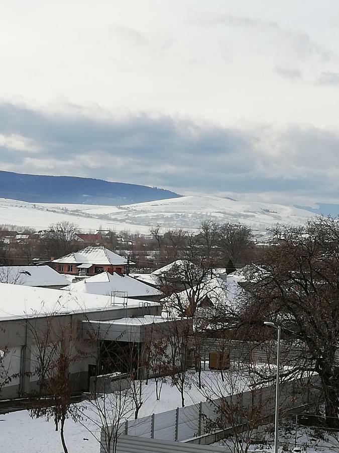 Pensiunea La Safari Targu Neamt Exterior photo